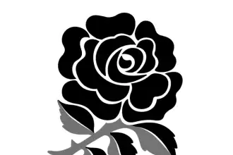 Etzebeth eben south rugby player tall african can africa huge fight beat katie literally taylor stone street weight england as