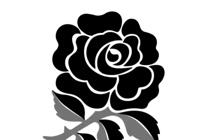 Etzebeth eben south rugby player tall african can africa huge fight beat katie literally taylor stone street weight england as