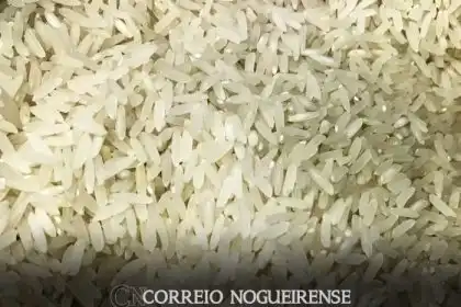 Qual Pais Nao Tem Rio
