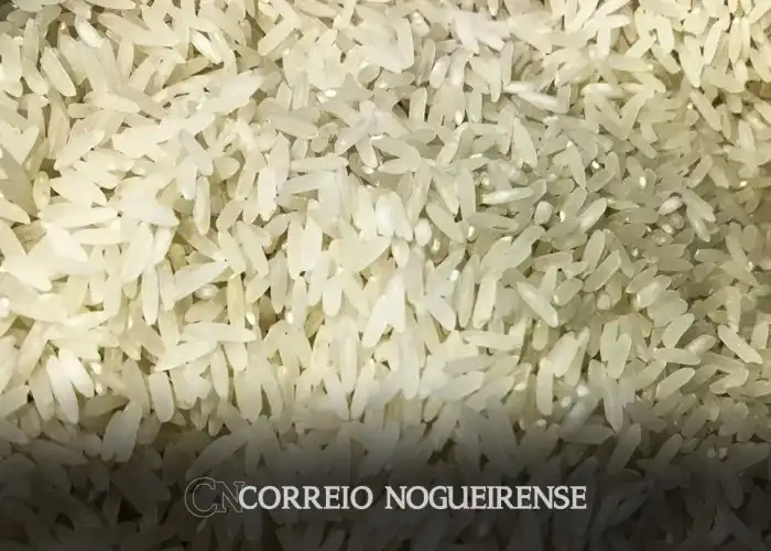 Qual Pais Nao Tem Rio