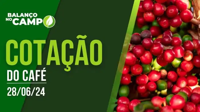 COTAÇÃO DO CAFÉ – 28/06/2024 | Rede Mais