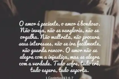 O Amor É Paciente O Amor É Bondoso. Não Inveja Não Se Vangloria Não Se Orgulha