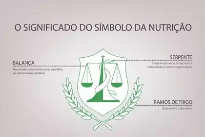 Ícone Nutrição Ícone Fino Linear De Destaque De Nutrição Isolado Em ...