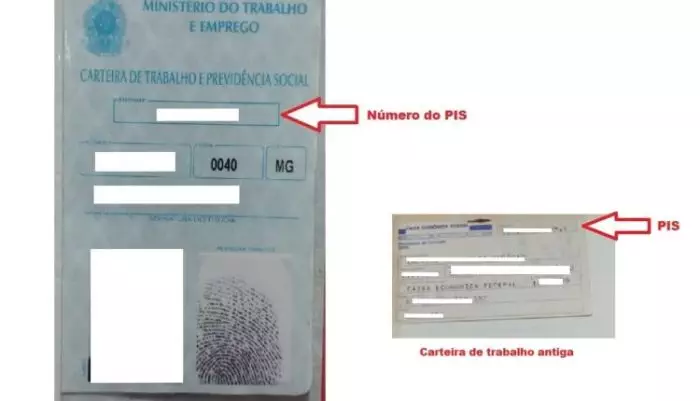 Saiba onde tem o número do PIS em carteira de trabalho antiga | DCI